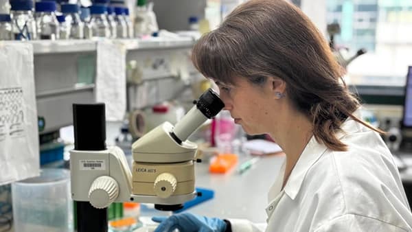 La investigadora Barbara Pernaute, en su laboratorio del CABD